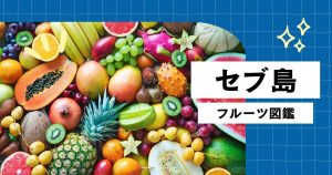 セブ島で絶対食べたい!フルーツ完全ガイド(旬の時期・値段・食べ方)