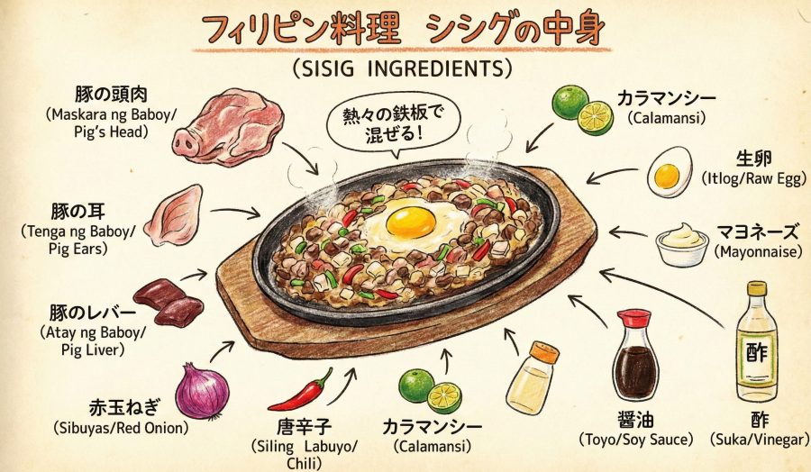 シシグの中身を解説