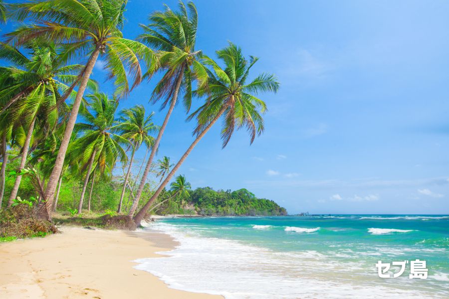 セブ島