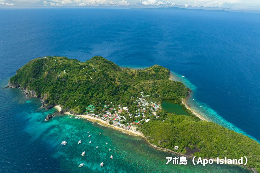 アポ島（Apo Island）